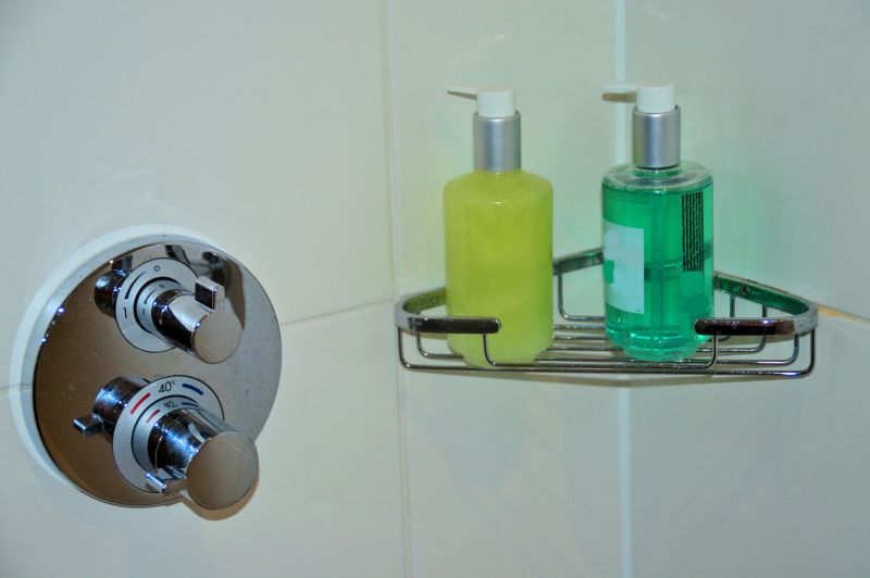 Multi-Function Shower Controls